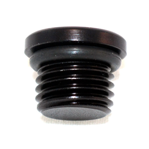 Straight Thread O-Ring Plug -12