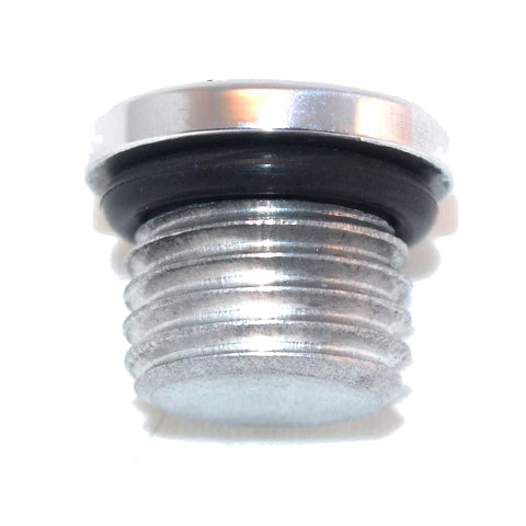 Straight Thread O-Ring Plug -12