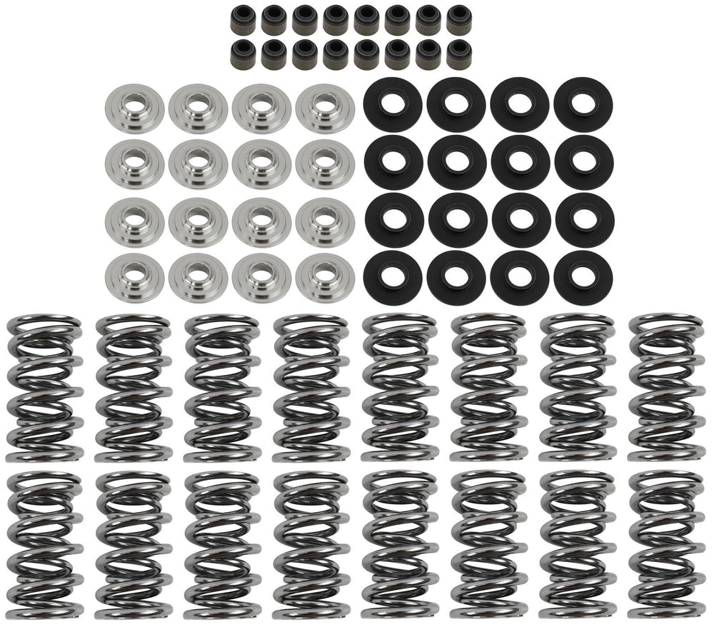 Platinum Dual Spring LS Kit Titanium Retainer