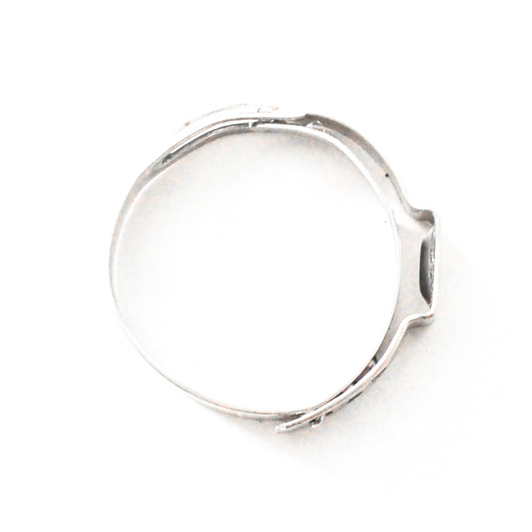 Stainless Safety Clamps -08
