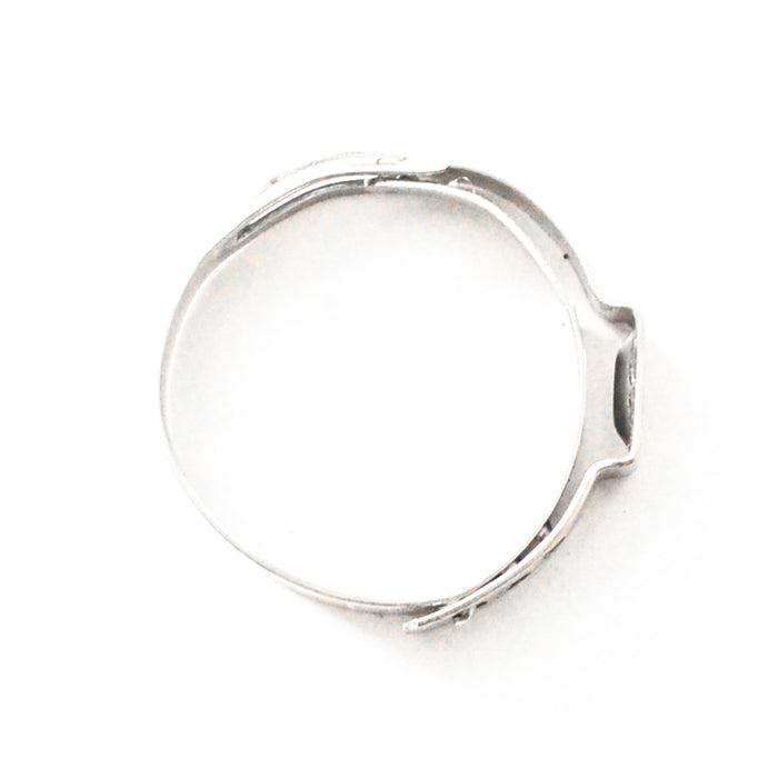 Stainless Safety Clamps -08