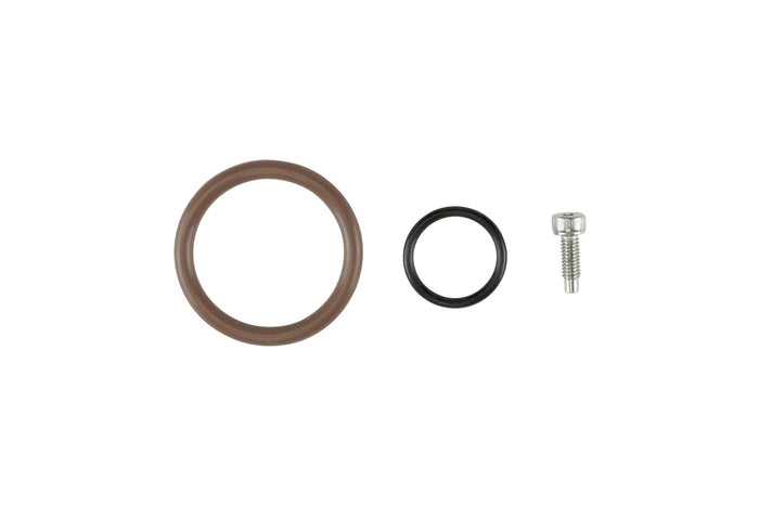 Oil Cap - LS O-Ring